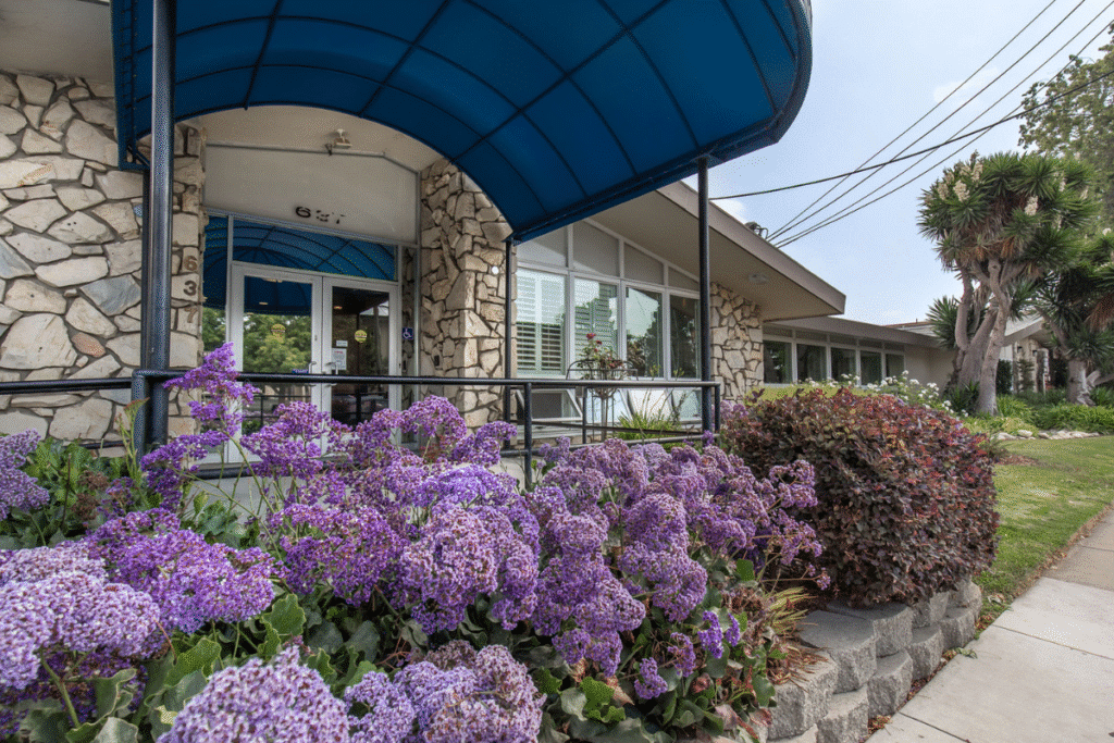 wp pacs_scrape_content --content_id=181 --update-content --url=https://salinasvalleypa.com/home/ --theme=theme-3