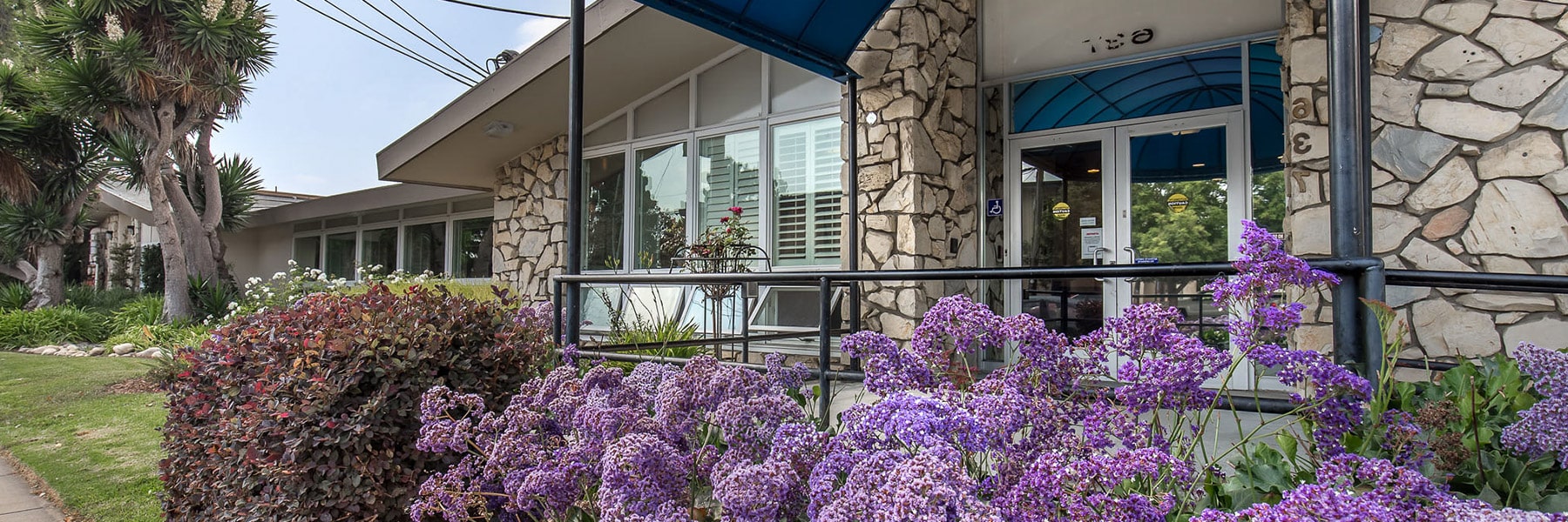 Desktop Background Image